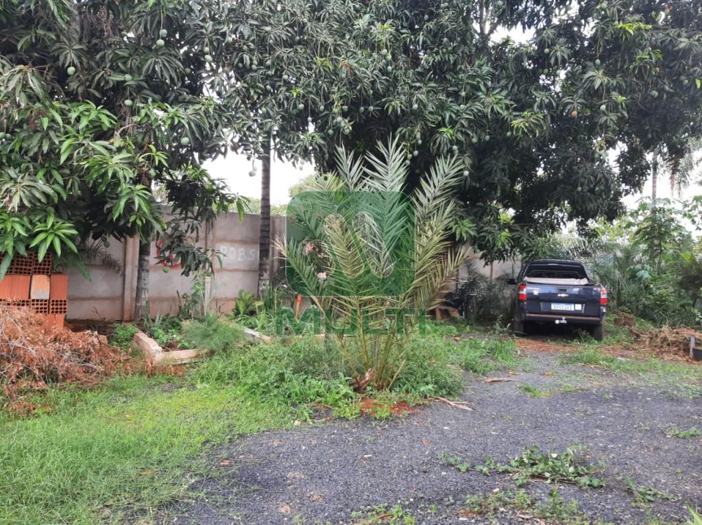 Fazenda à venda com 1 quarto, 165m² - Foto 9