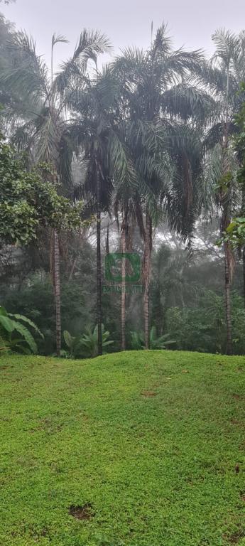 Fazenda à venda com 2 quartos, 300m² - Foto 10