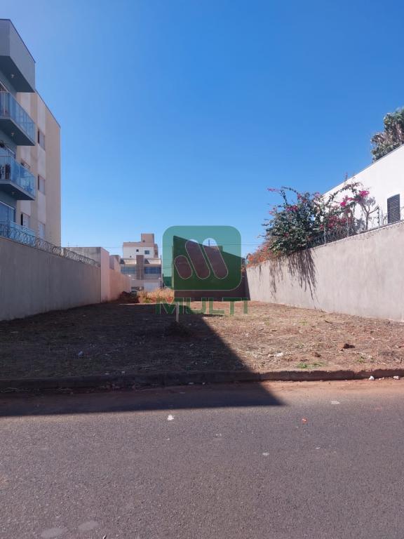 Terreno à venda com 1 quarto, 300m² - Foto 1