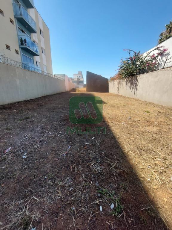 Terreno à venda com 1 quarto, 300m² - Foto 4