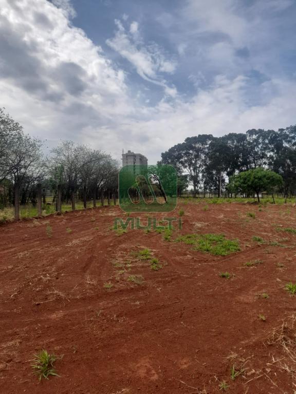 Loteamento e Condomínio à venda com 1 quarto, 2546m² - Foto 3