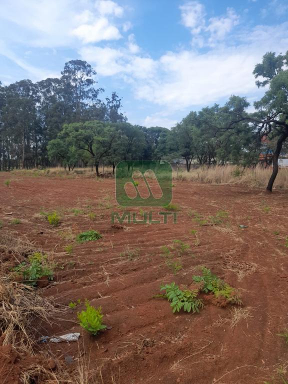 Terreno à venda com 1 quarto, 2352m² - Foto 11