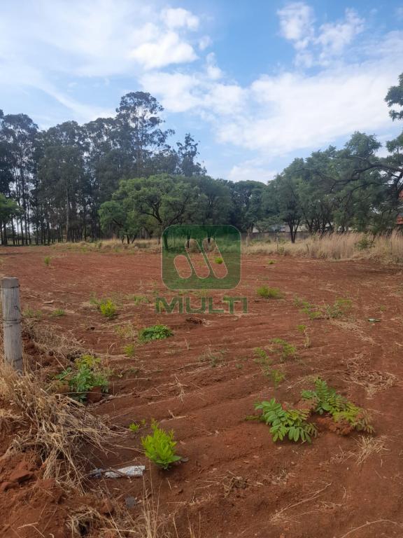 Terreno à venda com 1 quarto, 2352m² - Foto 12