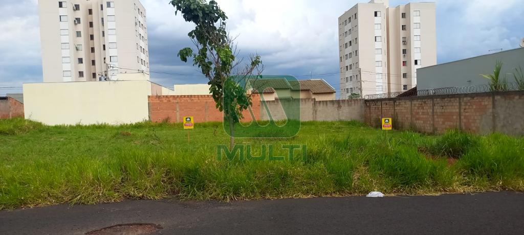 Terreno à venda com 1 quarto, 250m² - Foto 2