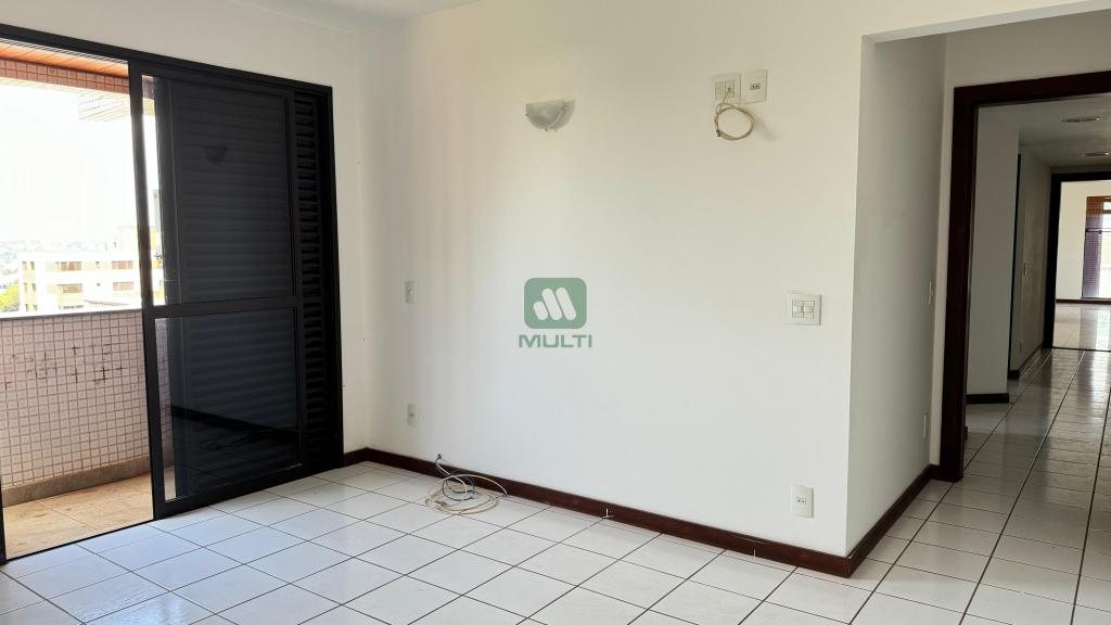 Apartamento à venda com 3 quartos, 220m² - Foto 14