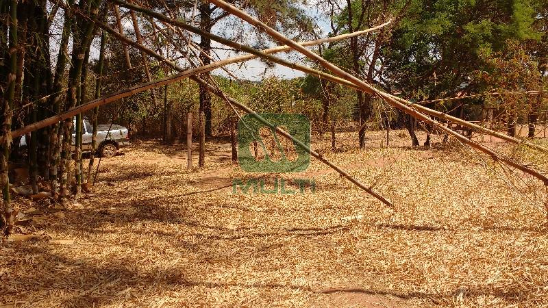 Fazenda à venda com 1 quarto, 5040m² - Foto 2