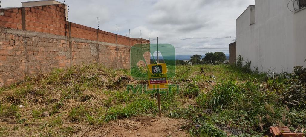 Terreno à venda com 1 quarto, 250m² - Foto 5