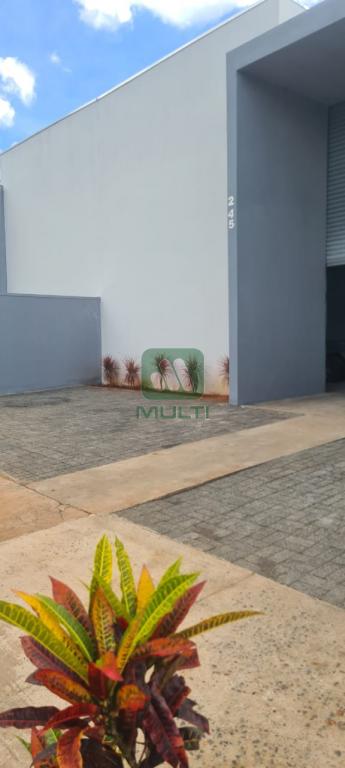 Fazenda à venda com 1 quarto, 240m² - Foto 5