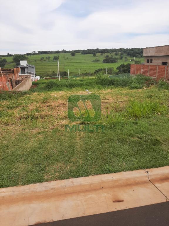 Terreno à venda com 1 quarto, 307m² - Foto 2