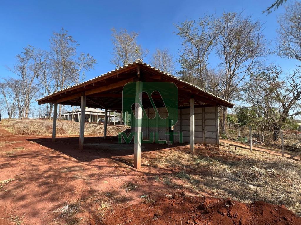 Fazenda à venda com 1 quarto, 1m² - Foto 6