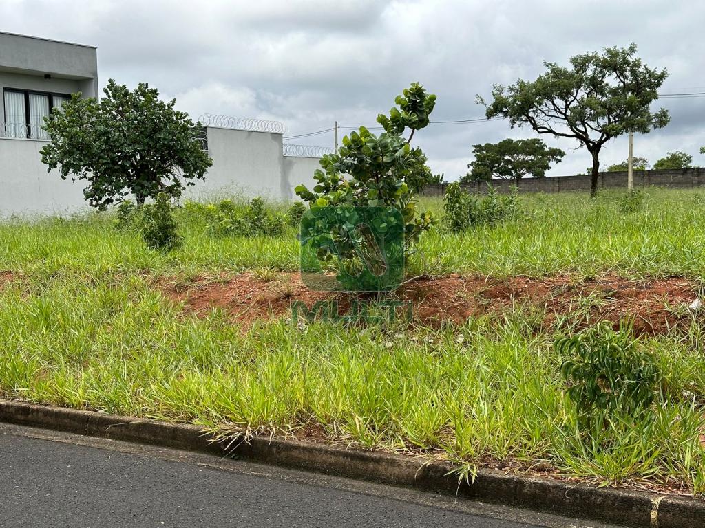 Terreno à venda com 1 quarto, 300m² - Foto 1