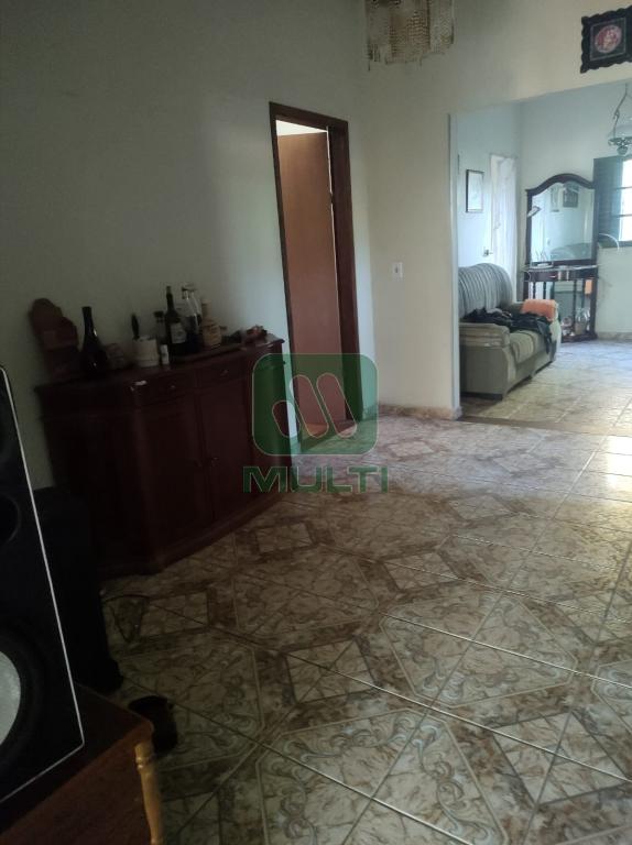 Fazenda à venda com 4 quartos, 175m² - Foto 3