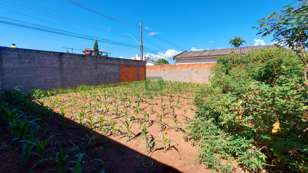 Terreno à venda com 1 quarto, 375m² - Foto 2