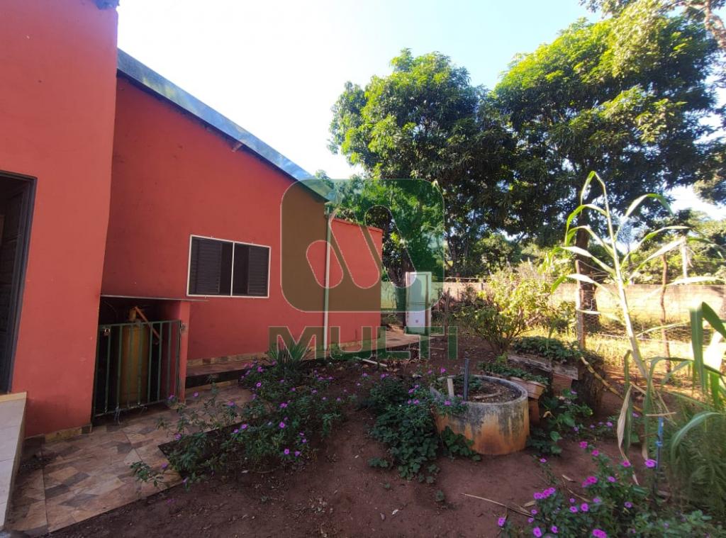 Fazenda à venda com 3 quartos, 1m² - Foto 24