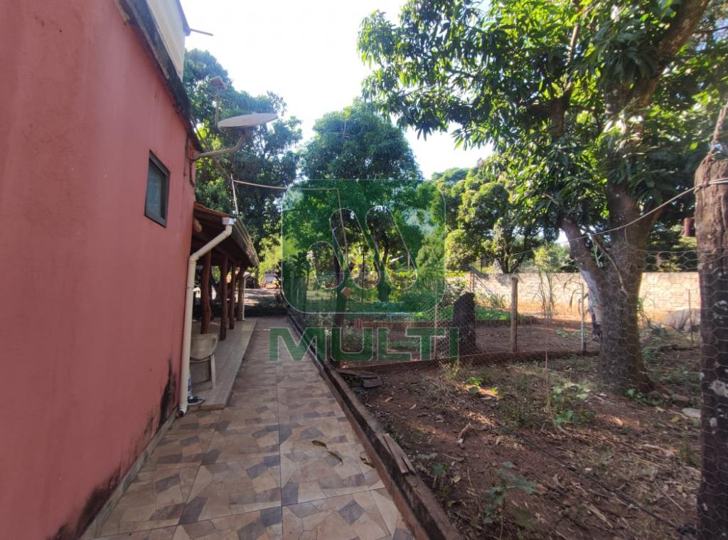 Fazenda à venda com 3 quartos, 1m² - Foto 29