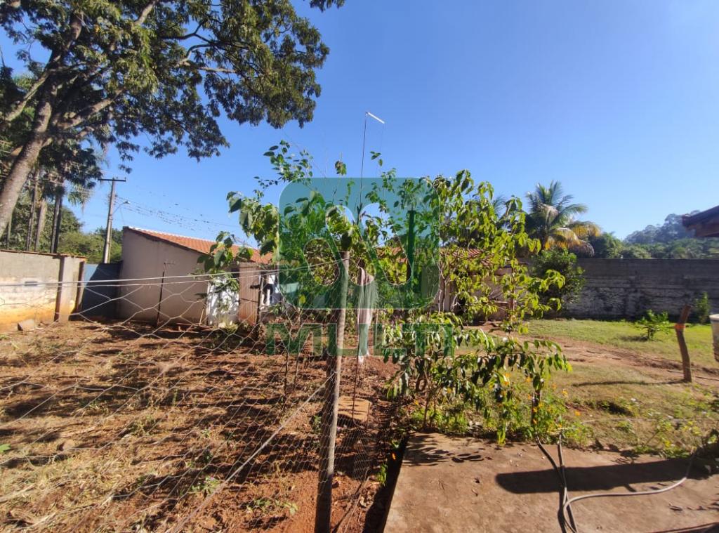 Fazenda à venda com 3 quartos, 1m² - Foto 30