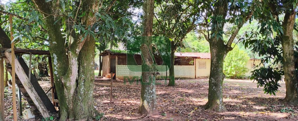 Fazenda à venda com 4 quartos, 74m² - Foto 22