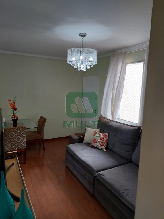 Apartamento à venda com 3 quartos, 63m² - Foto 4