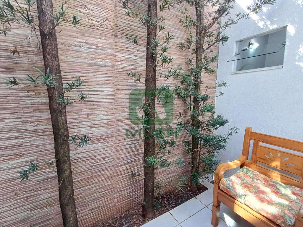 Casa à venda com 3 quartos, 160m² - Foto 6