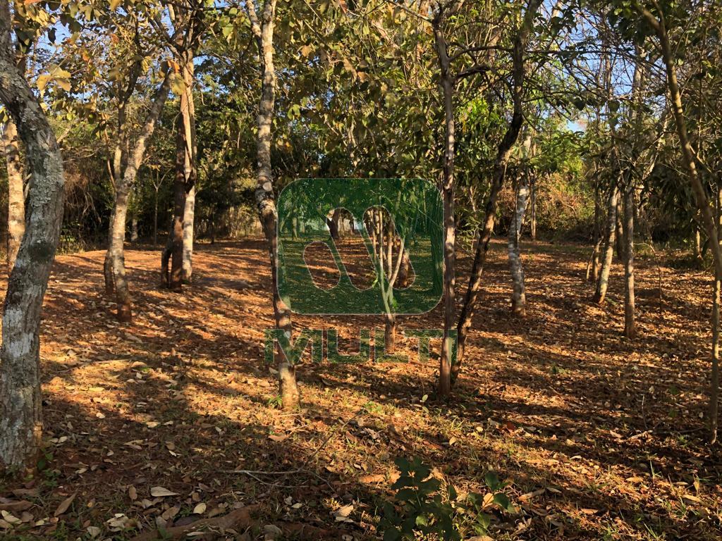 Fazenda à venda com 4 quartos, 1200m² - Foto 9