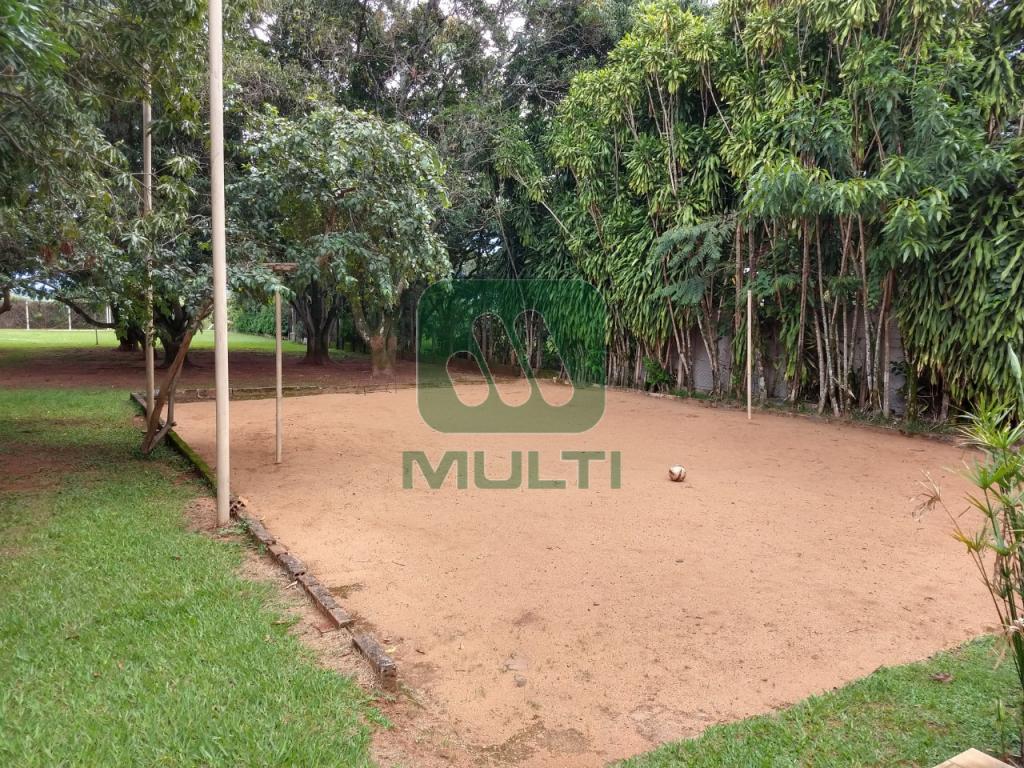 Fazenda à venda com 3 quartos, 400m² - Foto 13