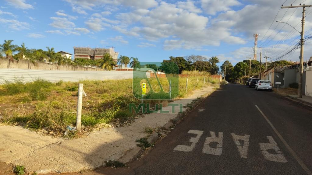 Terreno à venda com 1 quarto, 1100m² - Foto 1