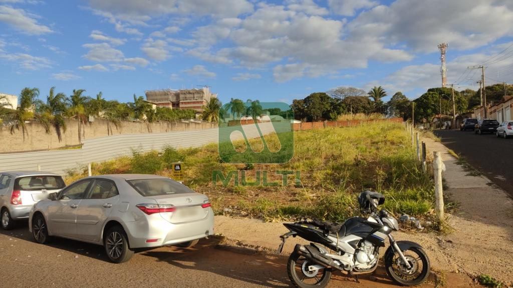 Terreno à venda com 1 quarto, 1100m² - Foto 2