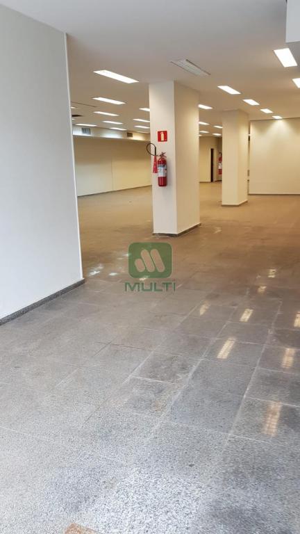 Loja-Salão à venda com 1 quarto, 1000m² - Foto 7