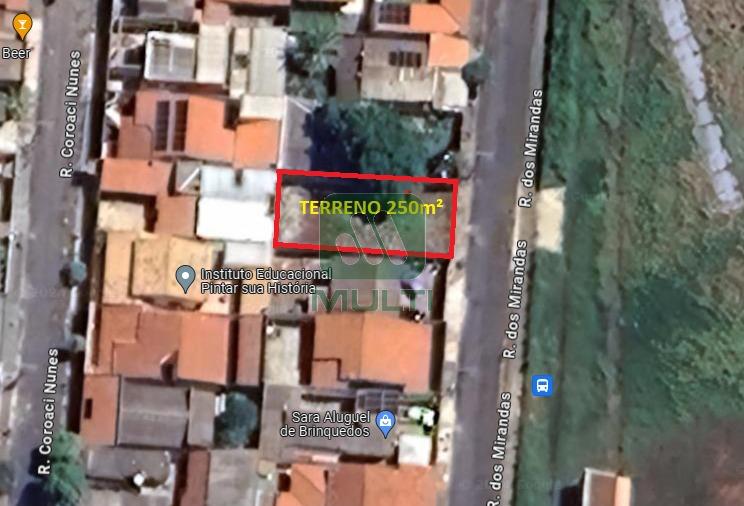 Terreno à venda com 1 quarto, 250m² - Foto 4