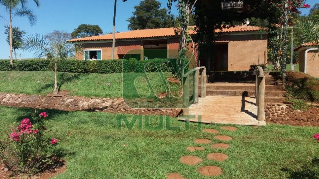 Fazenda à venda com 3 quartos, 1m² - Foto 27