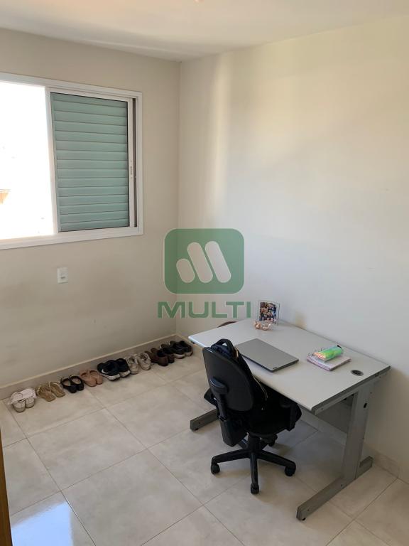 Apartamento à venda com 2 quartos, 53m² - Foto 14