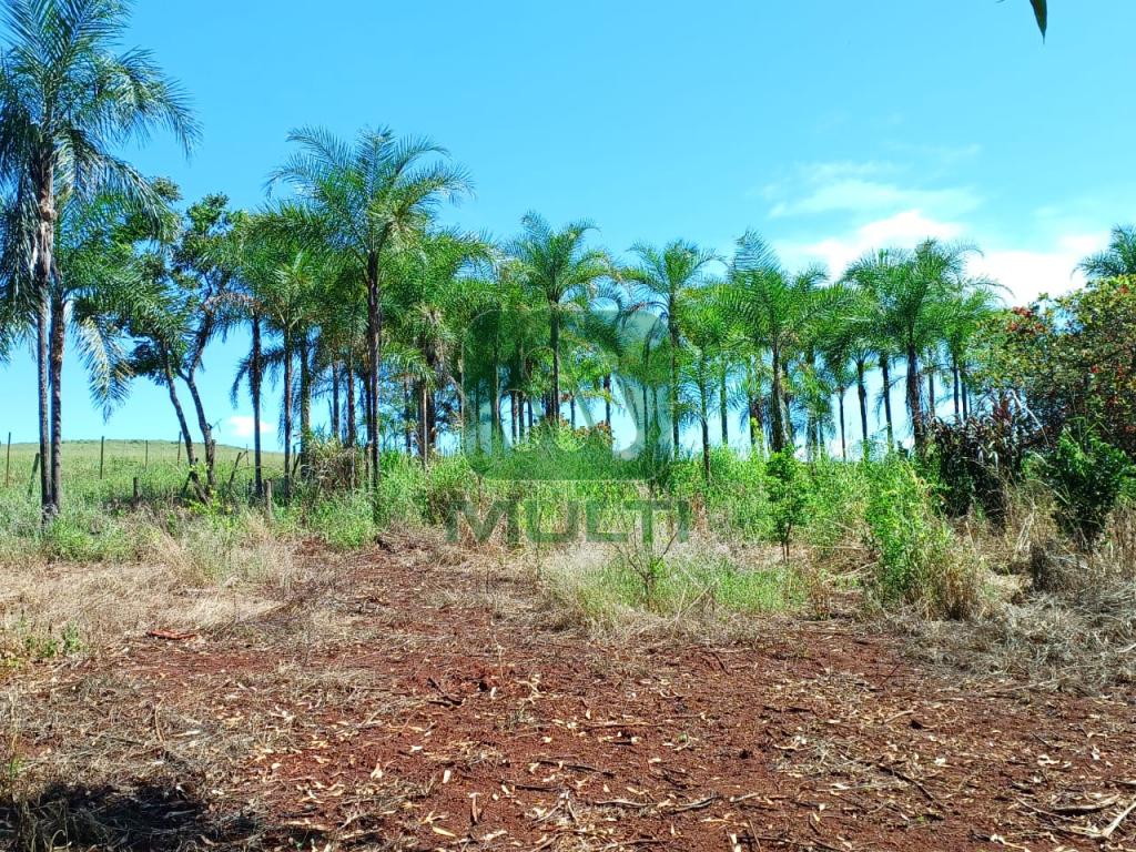 Fazenda à venda com 1 quarto, 1m² - Foto 1