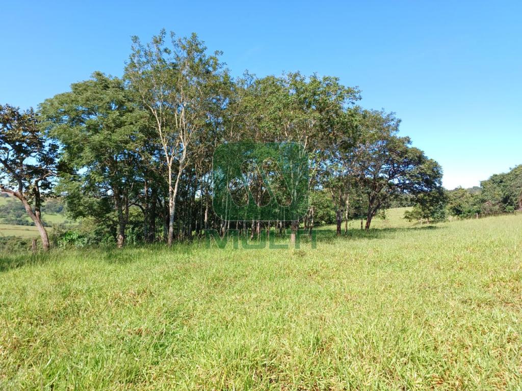 Fazenda à venda com 1 quarto, 1m² - Foto 2