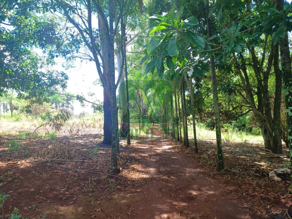 Fazenda à venda com 1 quarto, 1m² - Foto 4