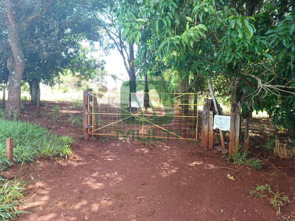 Fazenda à venda com 1 quarto, 1m² - Foto 5