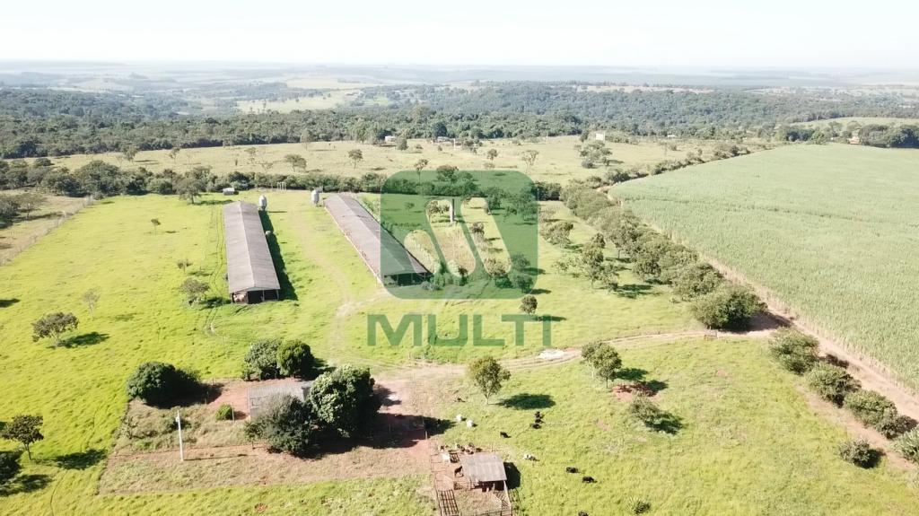 Fazenda à venda com 1 quarto, 1m² - Foto 4