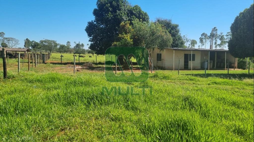 Fazenda à venda com 1 quarto, 1m² - Foto 7