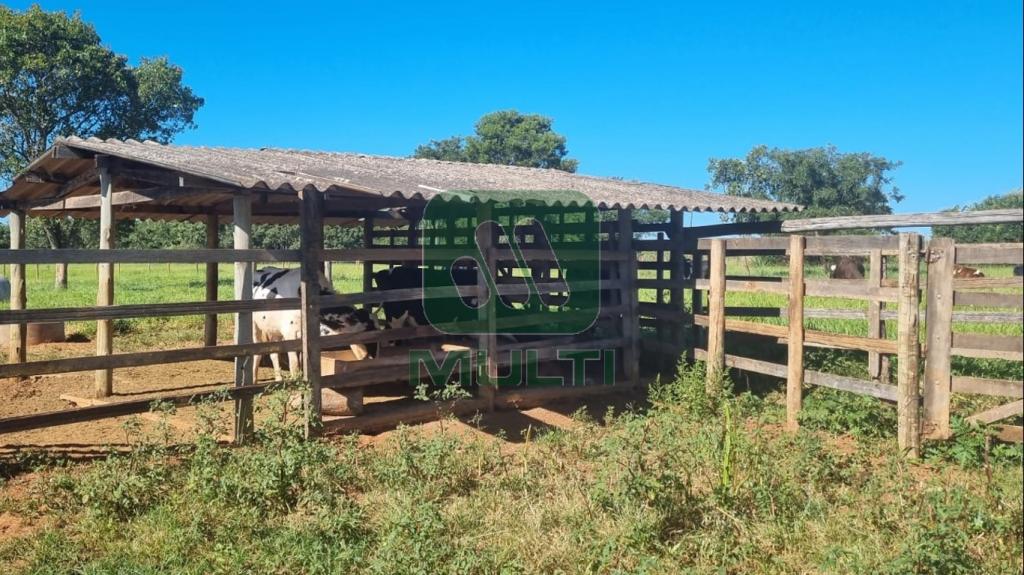 Fazenda à venda com 1 quarto, 1m² - Foto 10