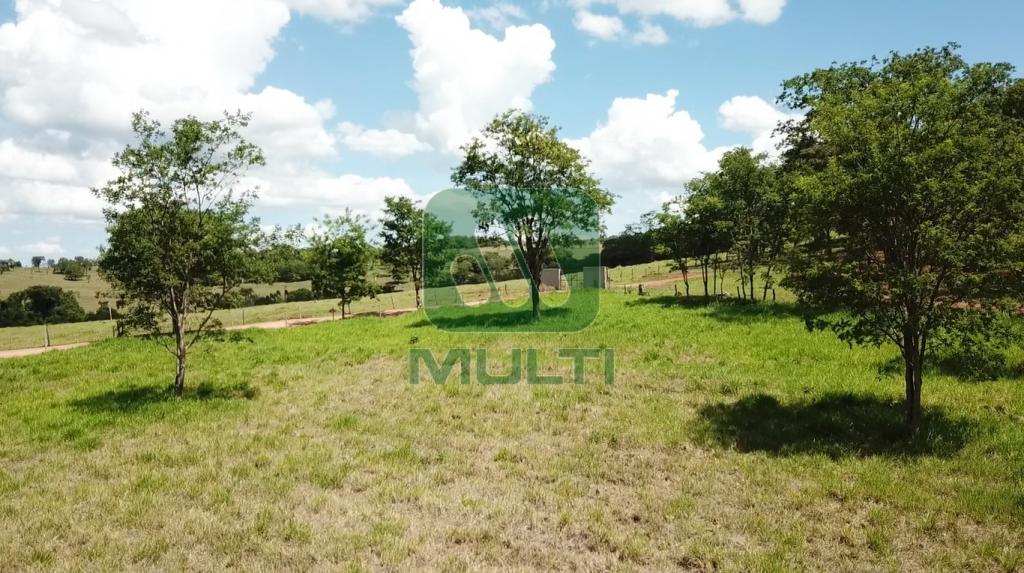 Fazenda à venda com 1 quarto, 1m² - Foto 6