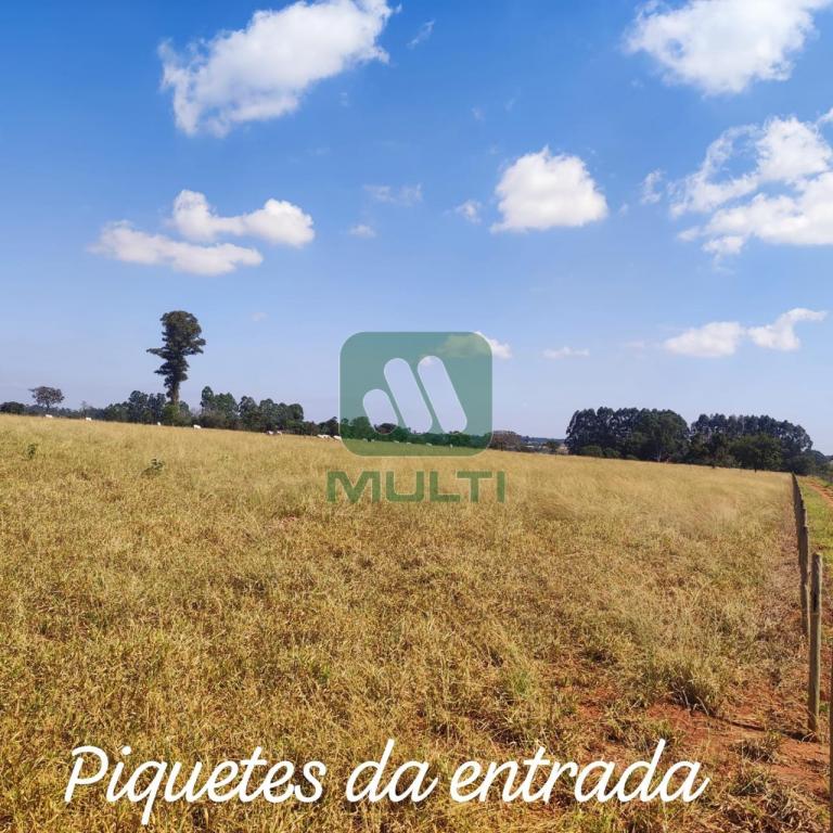 Fazenda à venda com 3 quartos, 1m² - Foto 2