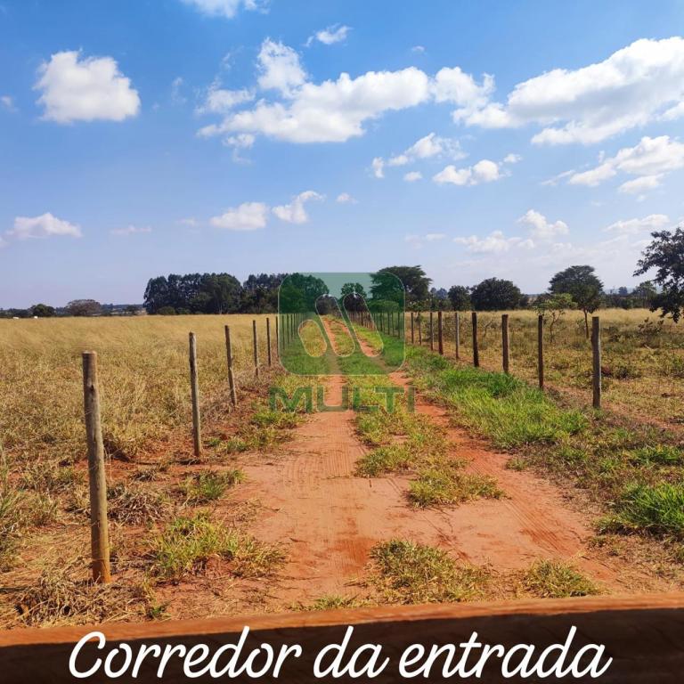 Fazenda à venda com 3 quartos, 1m² - Foto 3