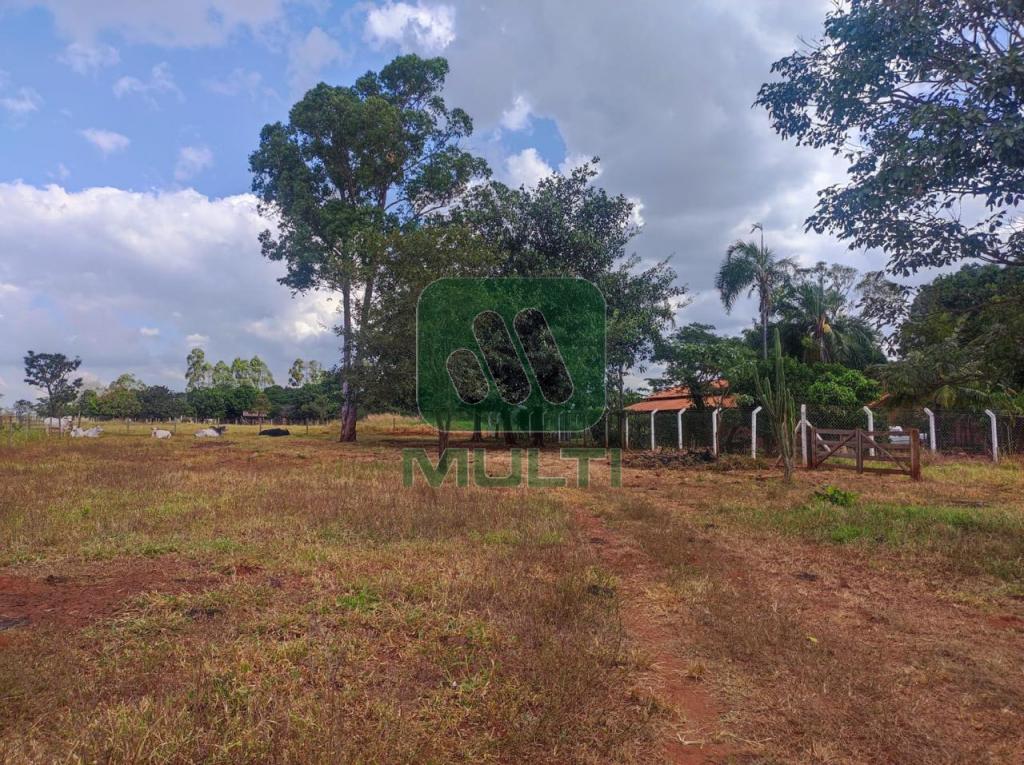 Fazenda à venda com 3 quartos, 1m² - Foto 6