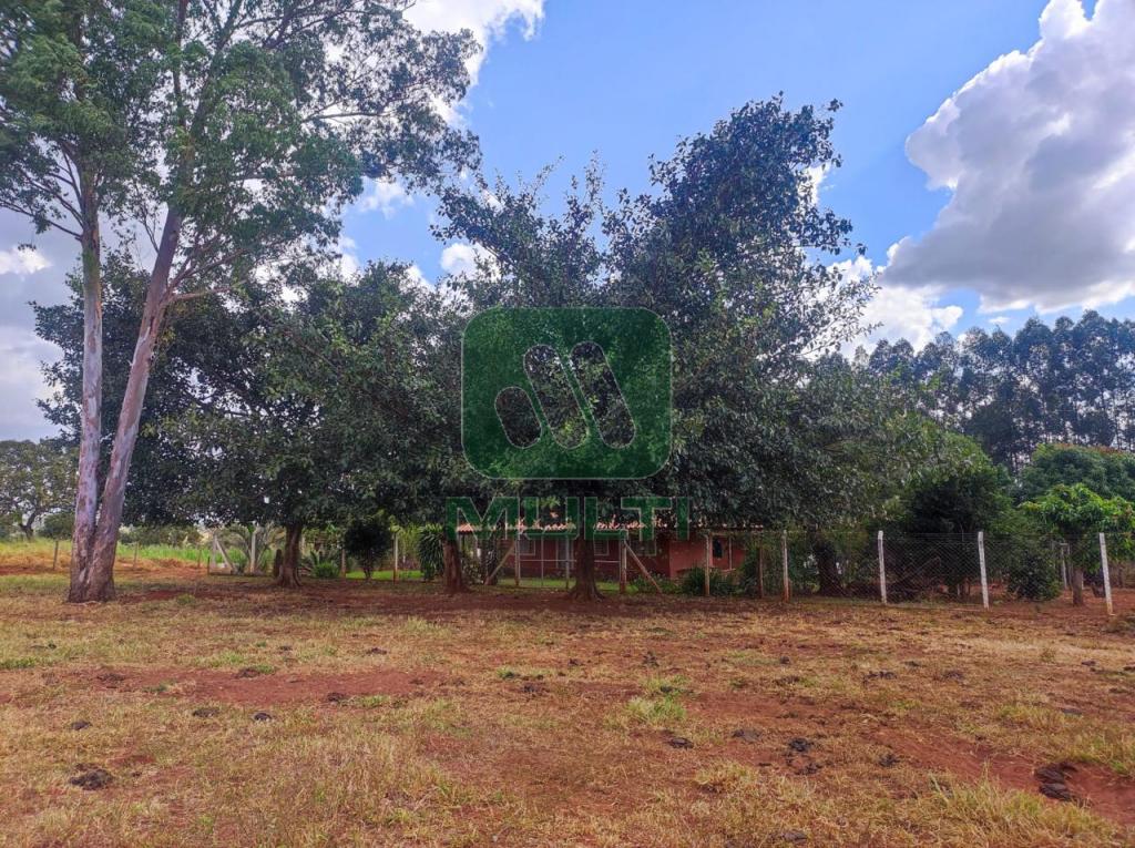 Fazenda à venda com 3 quartos, 1m² - Foto 8