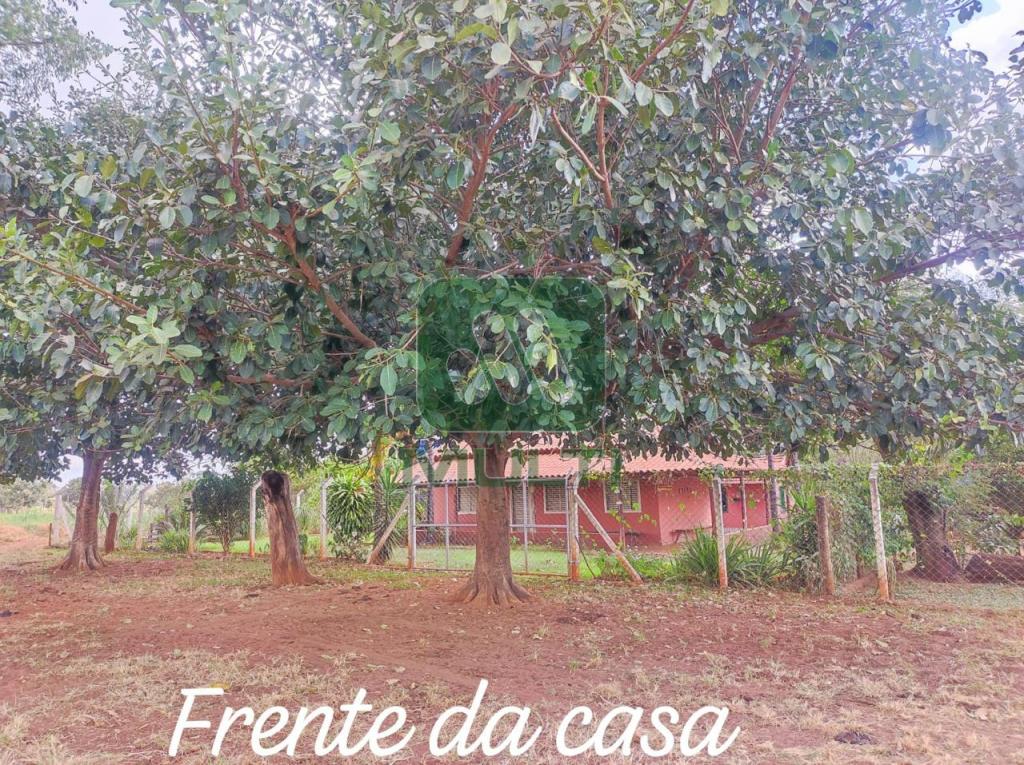 Fazenda à venda com 3 quartos, 1m² - Foto 9