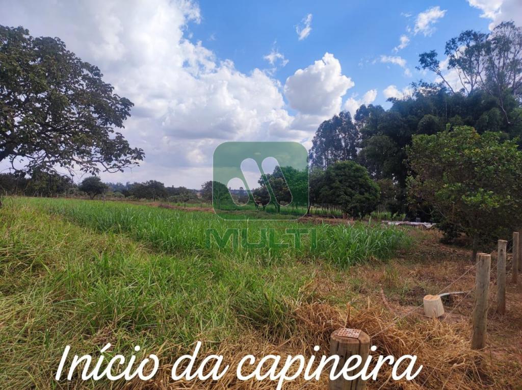 Fazenda à venda com 3 quartos, 1m² - Foto 10