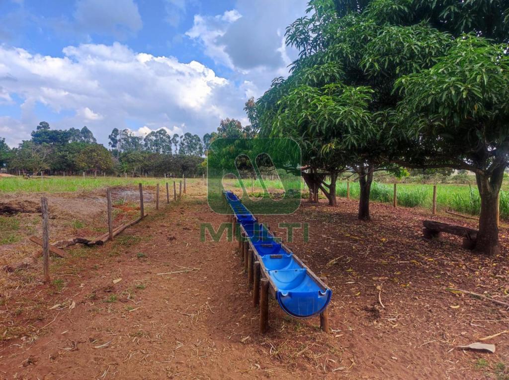 Fazenda à venda com 3 quartos, 1m² - Foto 13