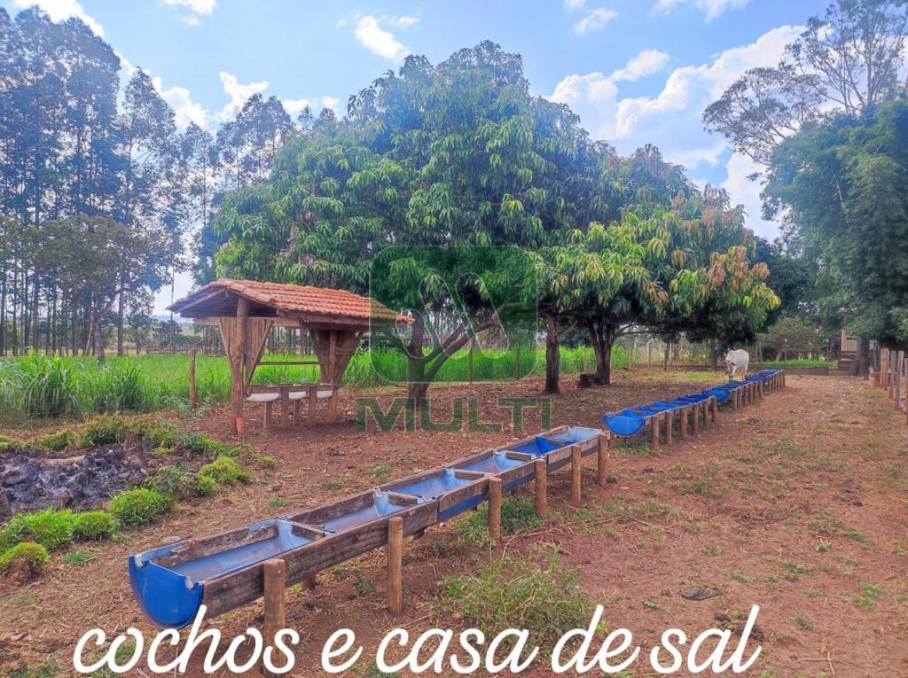 Fazenda à venda com 3 quartos, 1m² - Foto 15