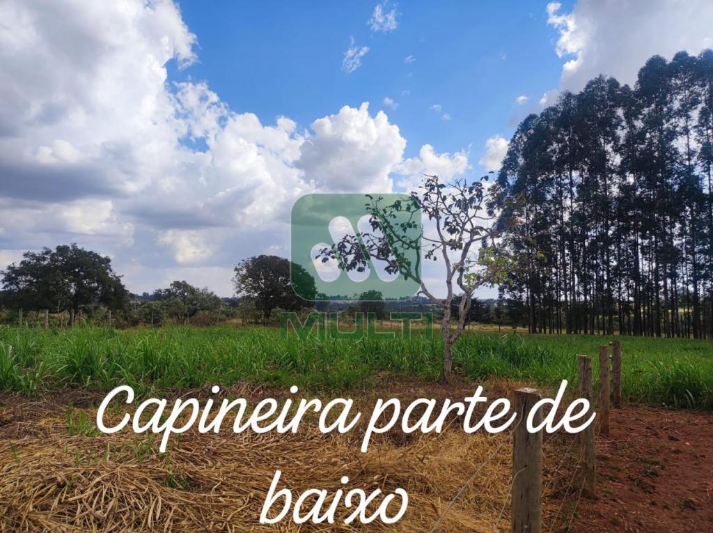 Fazenda à venda com 3 quartos, 1m² - Foto 16