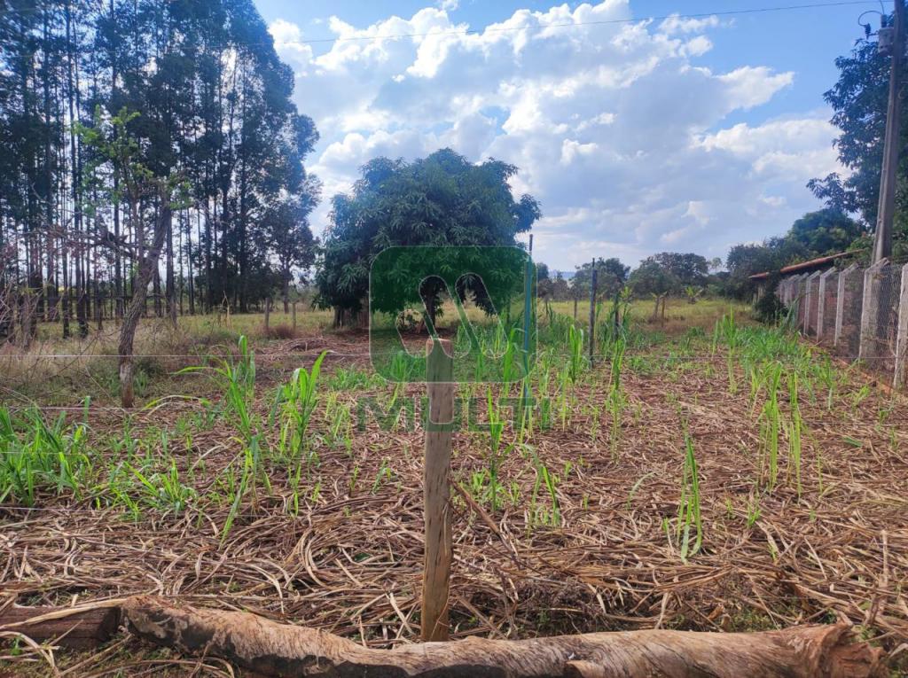 Fazenda à venda com 3 quartos, 1m² - Foto 18