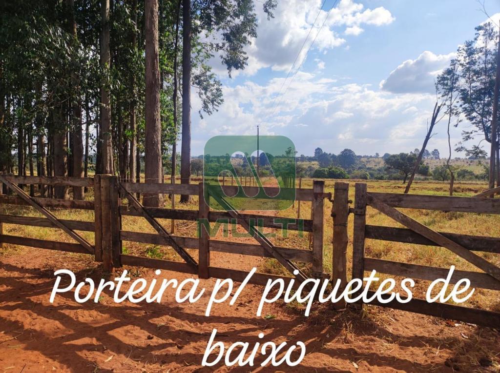 Fazenda à venda com 3 quartos, 1m² - Foto 20